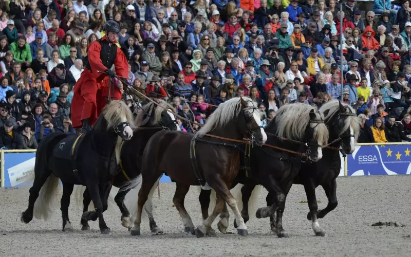 分手后男人最忘不了这5种类型的前女友