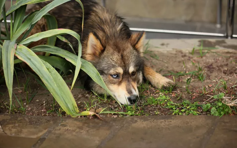 不同性格的男人会被不同性格的女人吸引，挽回怎能不知道