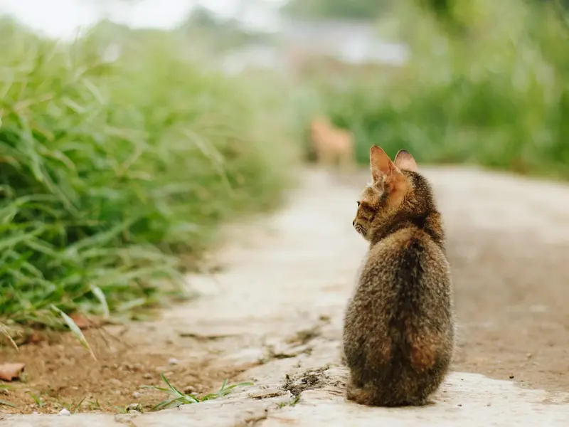 拥有这5个特征的男人最能吸引女人，你有吗？