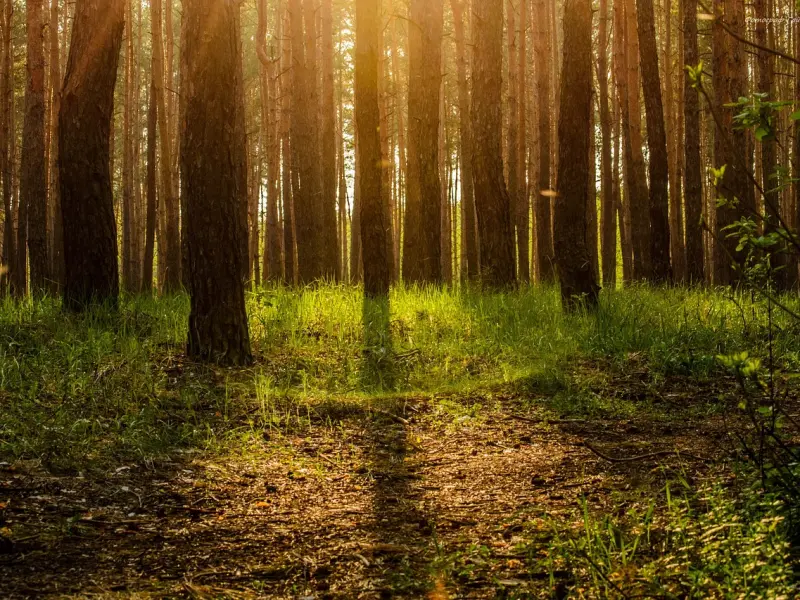 有这6个表现的男人，已经被你彻底的给“迷住了”