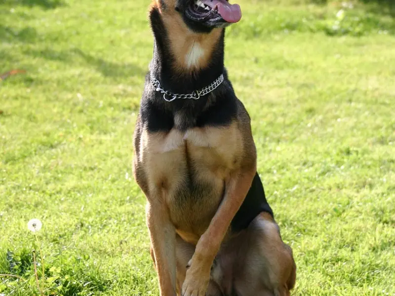 有这五个表现的男人，已经被你彻底的给“迷住了”