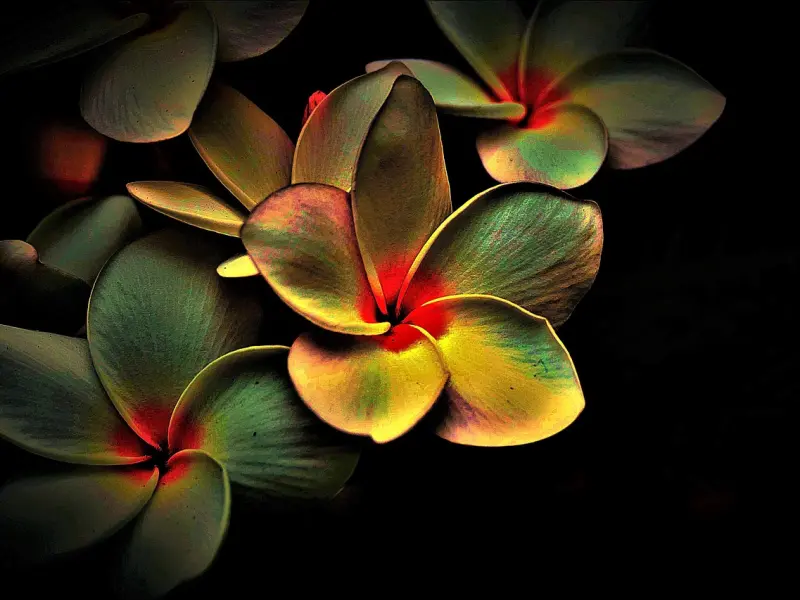 有这四个表现的男人，往往视你如命，珍惜吧！