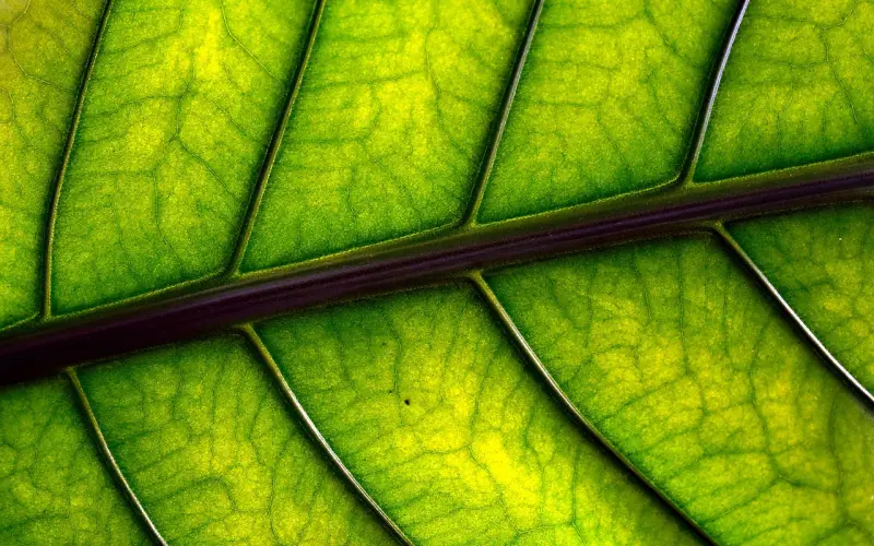 智慧女人不会碰的男人心理禁区！