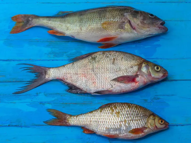 男人的“软肋”在这3处，女人如果抓住了，必定会幸福一生！