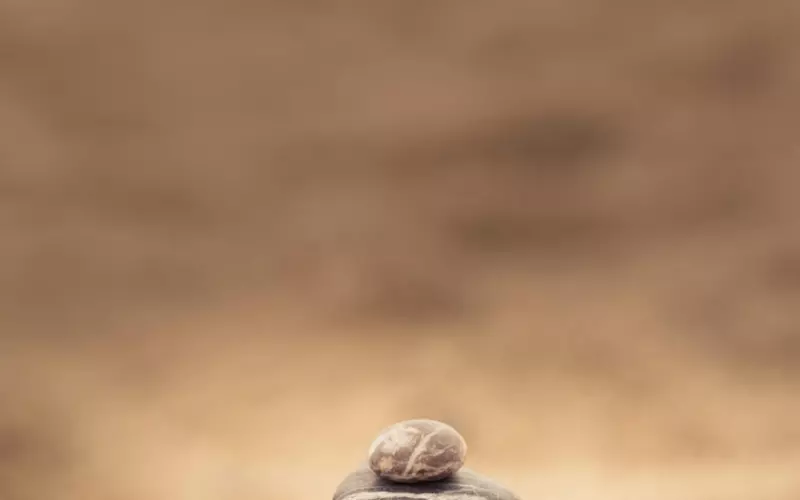 心态影响挽回，该如何调整心态？