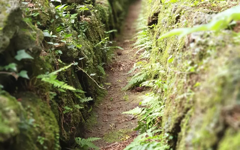 心态影响挽回，应该如何调整心态