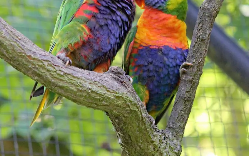 挽回爱情的方法 之  如何让他对你产生好的印象？