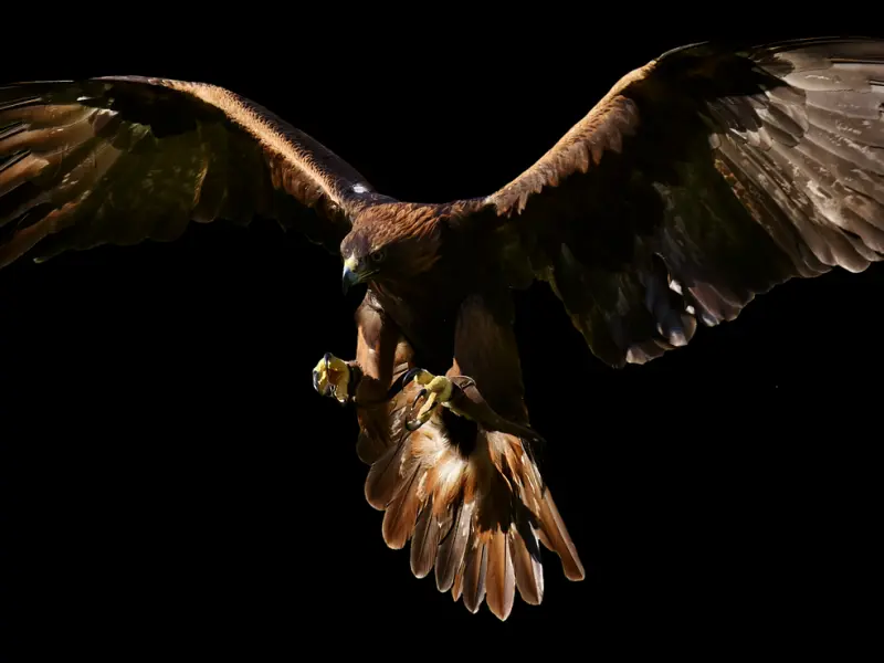 婚姻挽回方法：怀疑老婆出轨，怎么办！