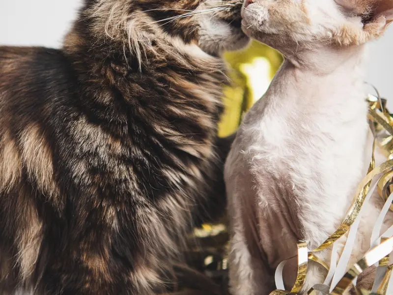 解决”因夫妻两地分居产生矛盾”的方法