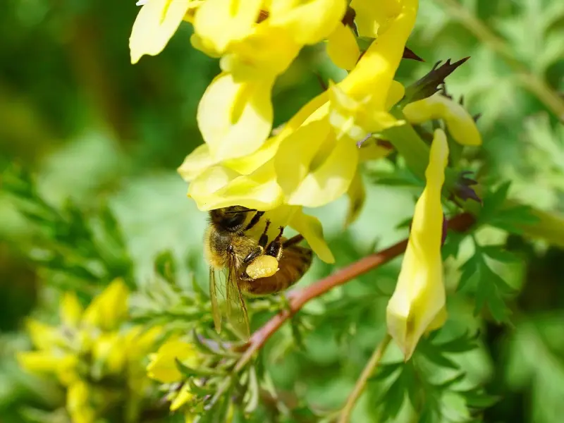 微问答：复联之后挽回的关键