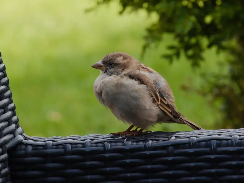 【微问答】前任不愿意归还东西，是什么心理？