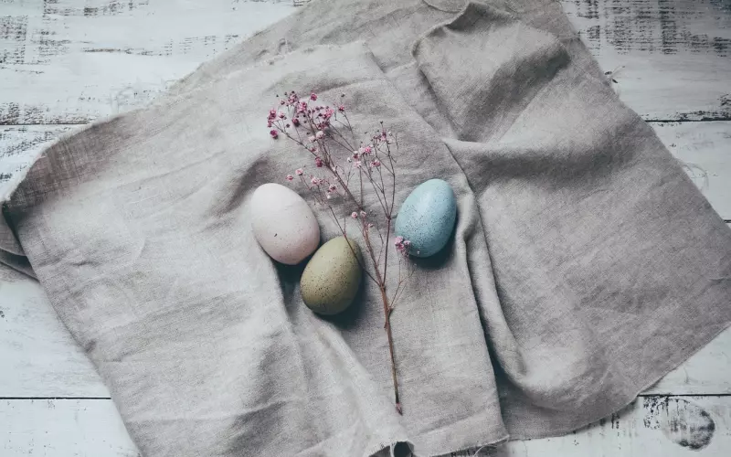 明玉的唇印太大了，文章最后有