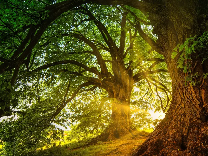 神奇的情绪沟通，成功化解了“我”和男友的冲突！