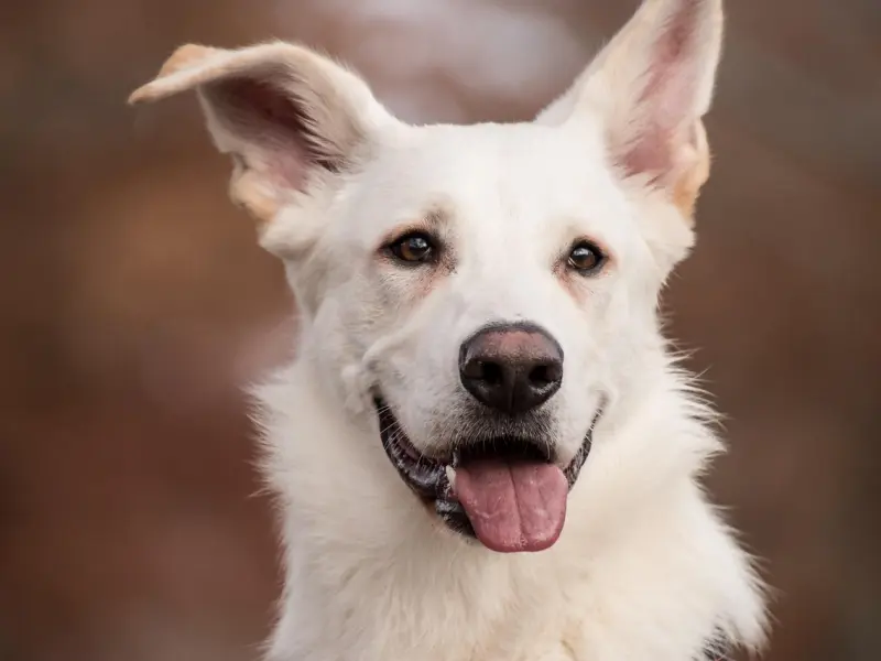 流产、分手、挽回、新欢、父母、离婚