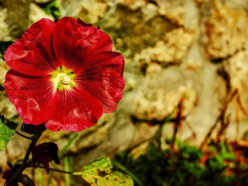 异地恋分手误区，其实你们都错了