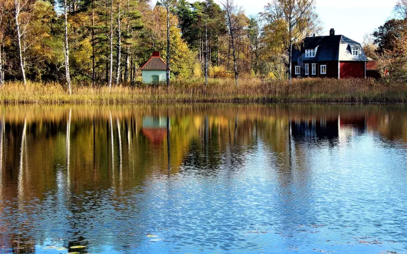 莫言：人生感言！（震撼心灵）
