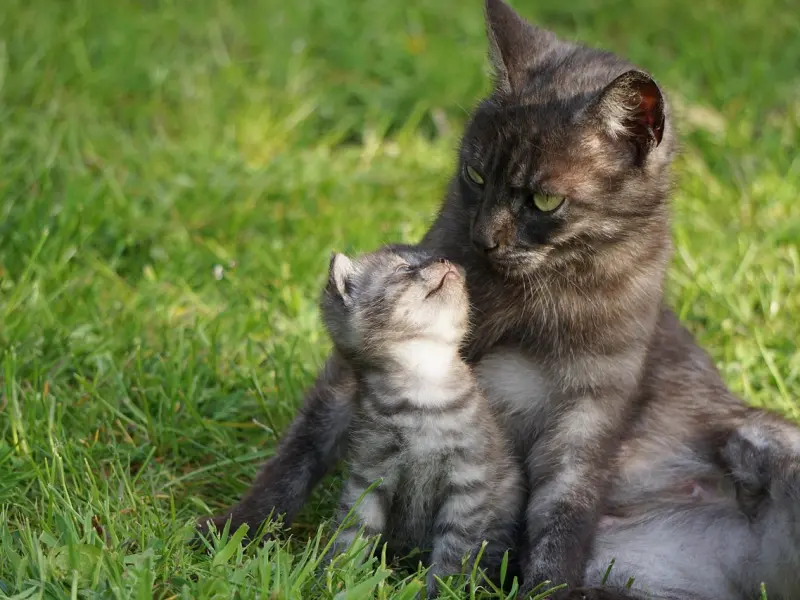 《囧妈》：徐峥是如何一步步把老婆作走的？