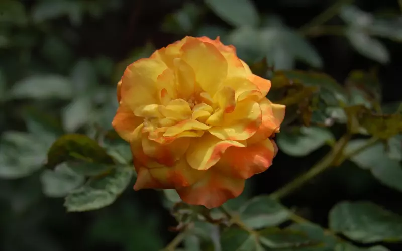 钱，是检验感情的最好标准！