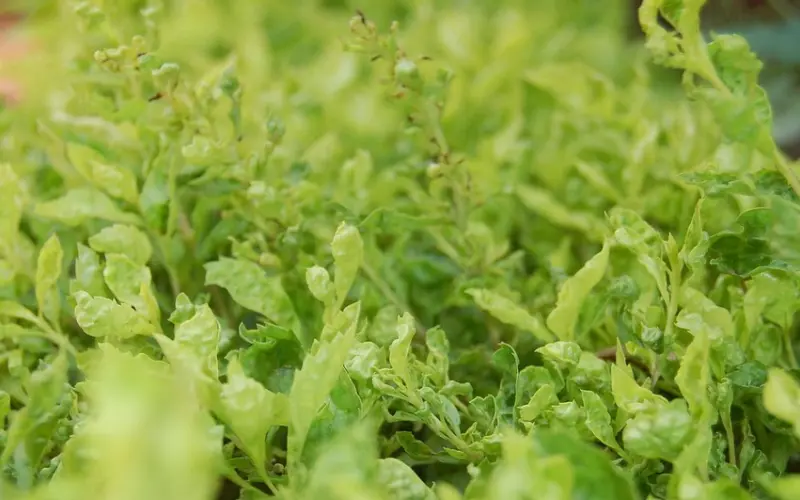 钱，是验证人心的最好标准