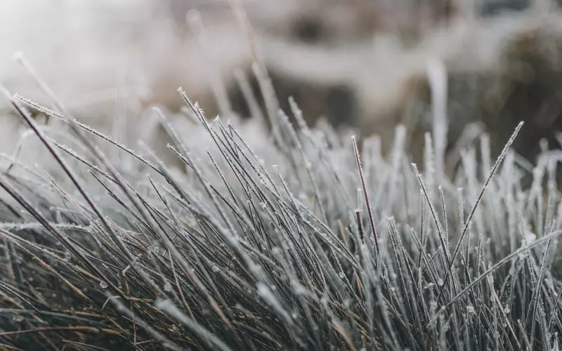 适合空间置顶的心情短语，句句经典！
