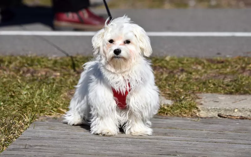 适合发朋友圈的心情短语，句句触动人心，太走心了