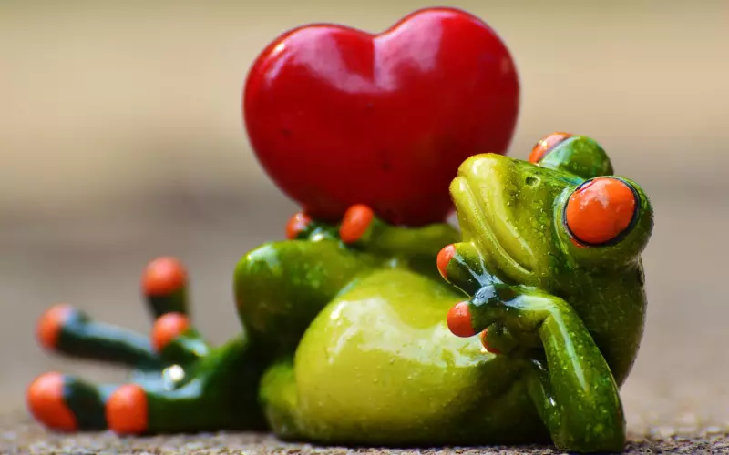 早读：唯有爱，可以让灵魂相互取暖！爱是奢侈的，但也是可爱的！