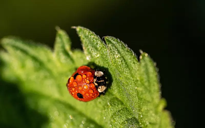 大多数成功挽回爱情的女生都做到了这两点！