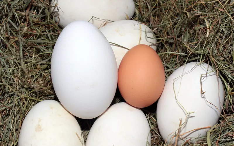 身上有这些特征的男人，大多都比较令女人讨厌