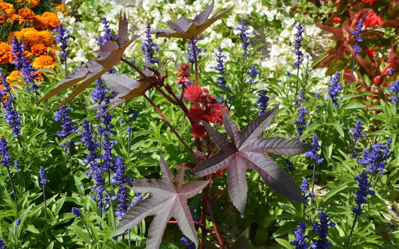 挽回失败的学员，大多拥有这样的思维