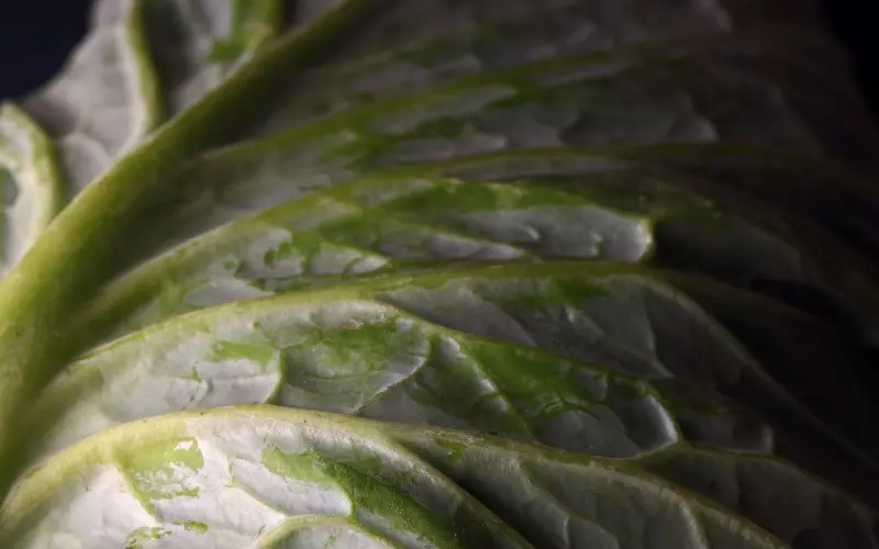 多重脉络对话是PUA常用的约会聊天的技巧