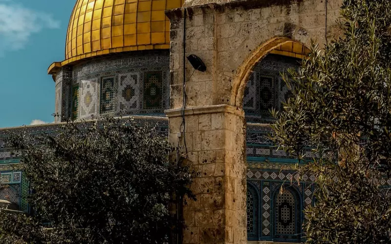 穆木团队手把手教你挽回爱情