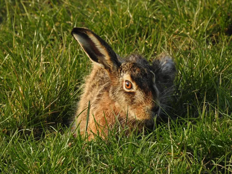 【挽回必看】燃心CQ 21点挽回法则③