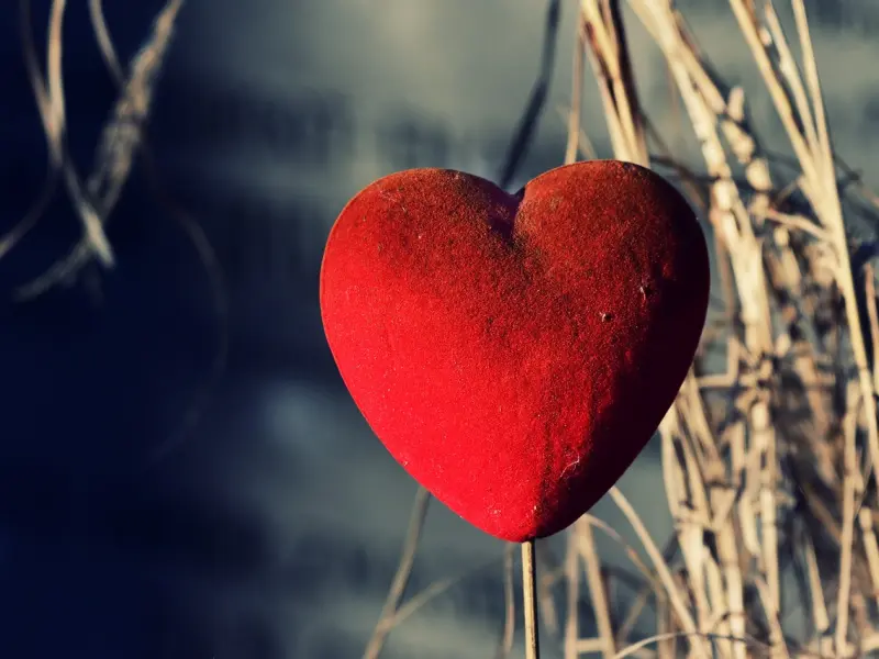 【挽回必看】燃心CQ 21点挽回法则②