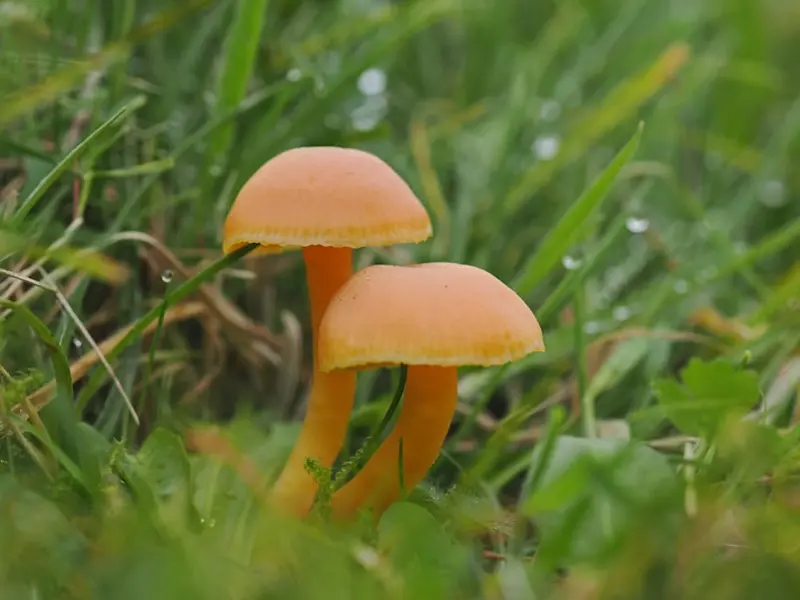 我和男朋友因为性格原因分手了，但是我现在想要挽回他该怎么做