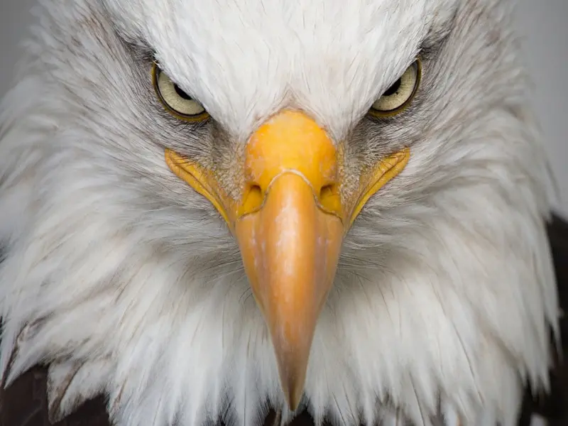 我和男友提了分手但是很后悔怎么办