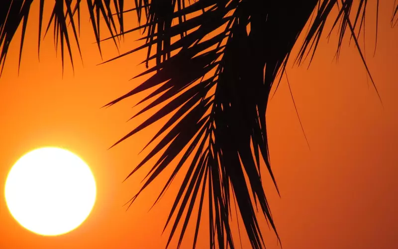 男友和我变得好陌生，应该如何挽回对方？