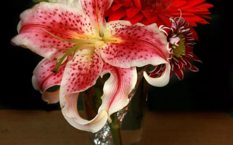 分手后男友拉黑我 怎么挽回爱情