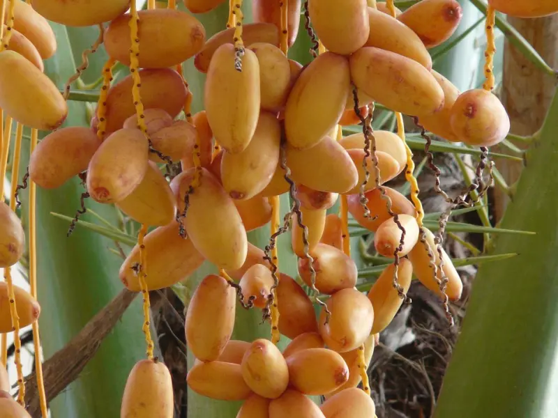 分手后死缠烂打被男友拉黑了，该怎么挽回