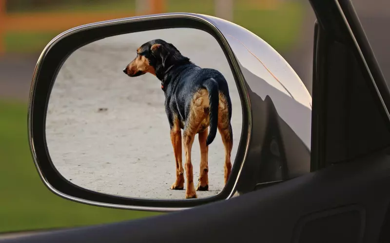 男友狠心分手，我该怎么挽回