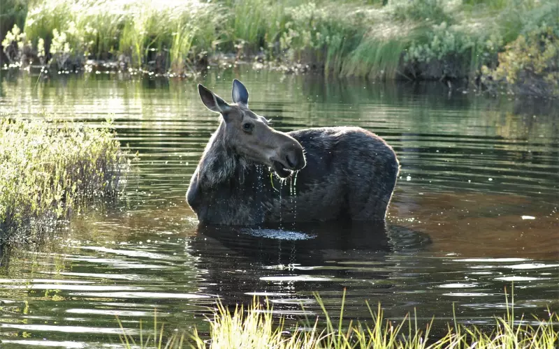 因为我和前任总是联系，男友和我分手了，该怎么挽回