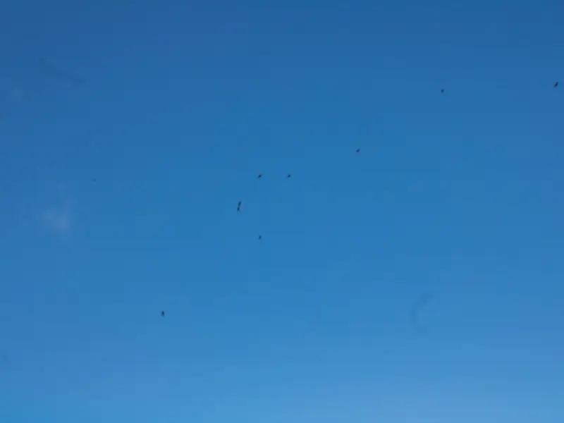 男友觉得我们没有共同语言和我分手，该怎么挽回