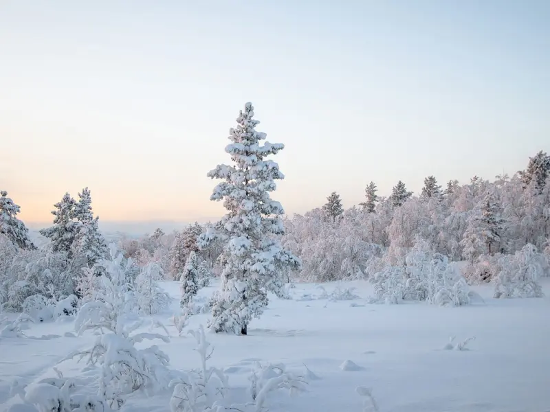 被男友冷bl逼分手，我该怎么办？