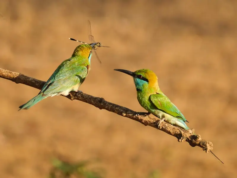 男朋友一直放不下他的前女友，想要和她复合，我该怎么去挽留他