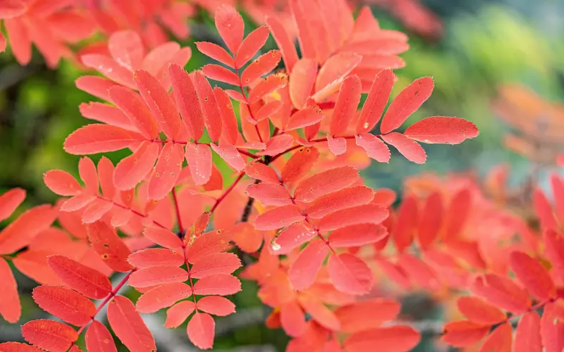 男友背着我继续上相亲网站，该不该分手？