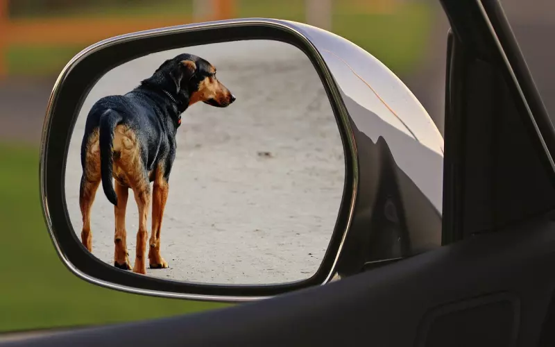 男友狠心说分手要如何挽回