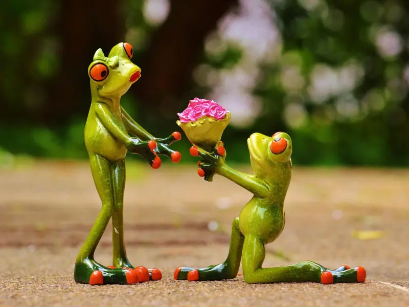 男友嫌弃我毛病多，免费情感咨询师三招让你感情回春！