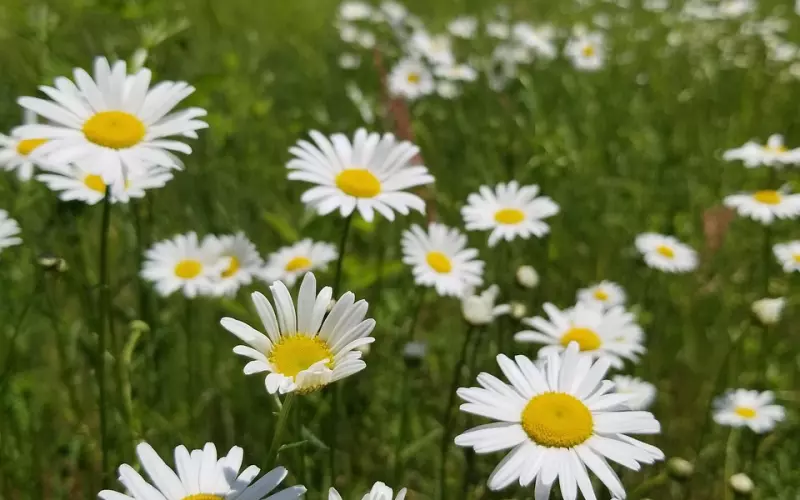 男友不喜欢吵架但我经常发脾气 分手后如何挽回
