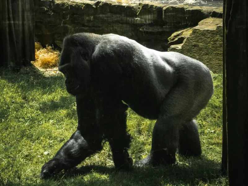 男朋友不要我了，怎么样才能挽回他的心让我们和好如初