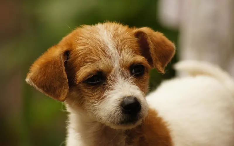 男友频繁说分手 这段感情我该挽回吗