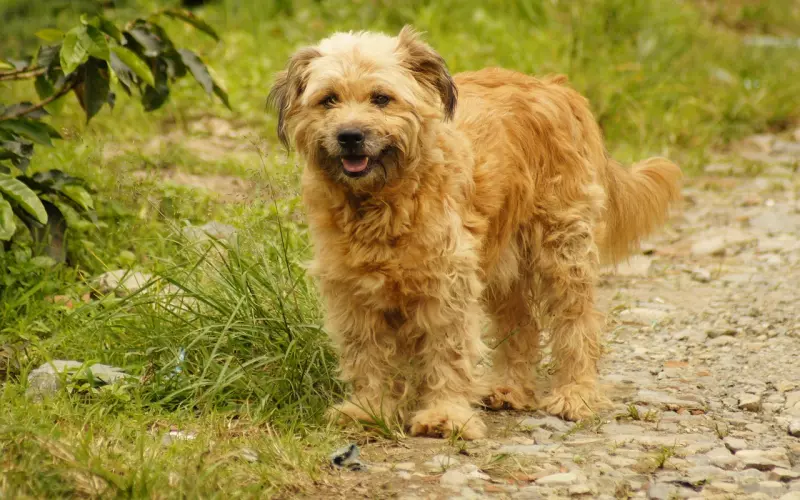 男友频繁说分手 这段感情我该挽回吗